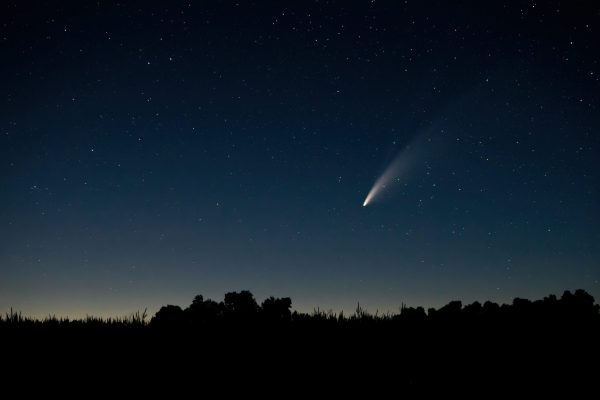 Nur nicht nach oben schauen. Foto: Pexels, Richard Bartz